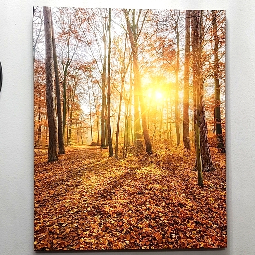 Lighted canvas print 16x20 New no tags